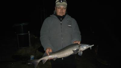 DSC_0202.JPG