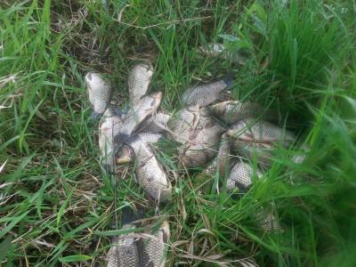 20160514_131025_resized.thumb.jpg.789ddb8403a5b5b2f832abcc757bf886.jpg
