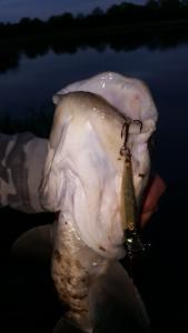 20170510_200824.jpg