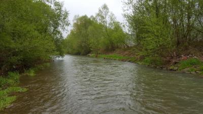 20170513_Krzczonowka_2.thumb.jpg.b7e2d90a7055a6e2283e5d415c24aed8.jpg