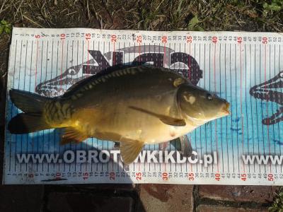 20170514_092113.thumb.jpg.60df3eea87d6196a623430c2d6860b28.jpg