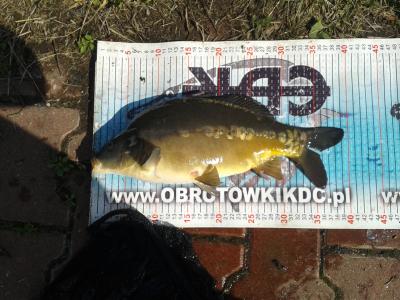 20170514_093334.thumb.jpg.9ac0c83e13a86fe0f40e02ab947a8332.jpg