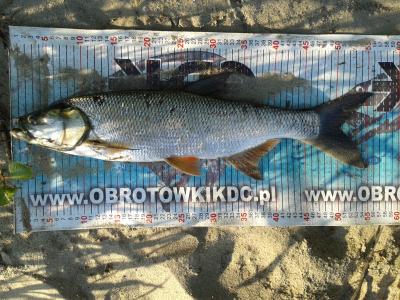 20170518_182942.thumb.jpg.9a49a98dca4829ad32b9a1d3beef96d2.jpg