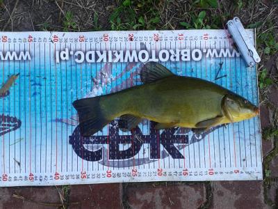 20170519_064117.thumb.jpg.ad3ad9b28d019713de5484154fdad4c9.jpg