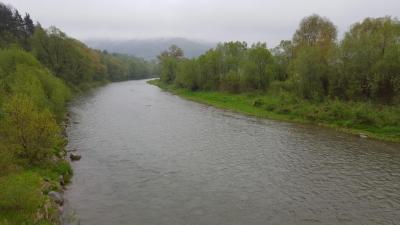 591a0424d23a2_20170513_RabazkladkiwStrozy_1.thumb.jpg.d5f116d4292fb1aa061ceceb51b6aa98.jpg