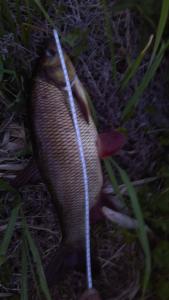 IMAG0302.jpg