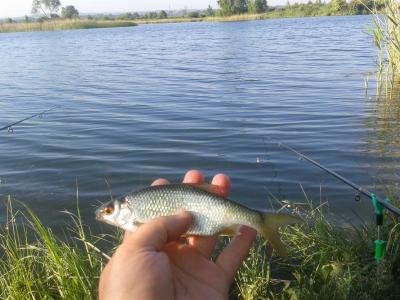 20170601_065908.thumb.jpg.00ba9e759a225f6d41f09cc30a5f42f4.jpg