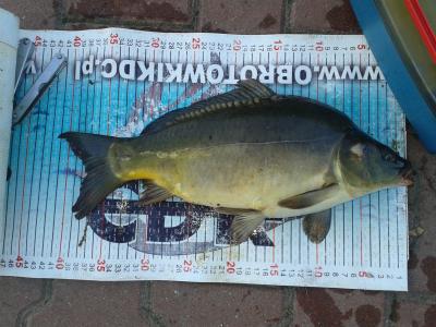 20170724_054355.thumb.jpg.5eea233d05ec09fac2c5fb6aa4297bfc.jpg