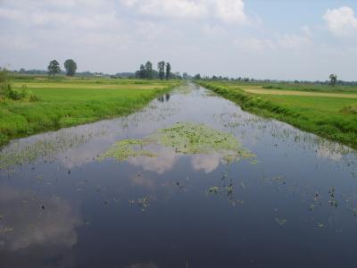 SS850229.JPG