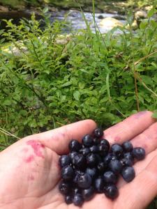 IMG_2975.thumb.JPG.3c0e82056f65f214d616f933ffdbf637.JPG