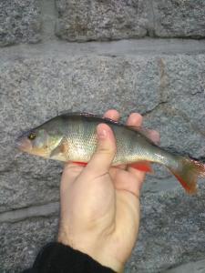 IMG_20170905_185820.jpg