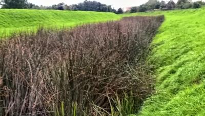 WP_20170914_15_52_51_Pro_easyHDR-BASIC-2_resized.thumb.jpg.f5819c13888df19e9bce68eeb7fdfdd7.jpg