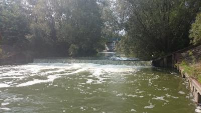 zlotniki1.thumb.jpg.c6a6d12995518e4338feed452ac578cc.jpg
