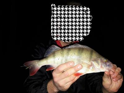 IMG_20171020_155430.jpg