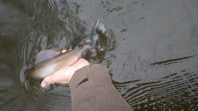 20171231_092310.thumb.jpg.ee2d9af2c92cd0602cce61ceedbb8502.jpg