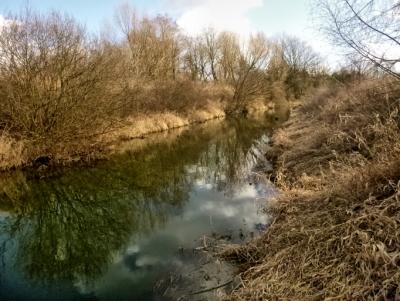 5a259e8ab341f_2017_03_15lza(2)_easyHDR-BASIC-2_resized.thumb.jpg.4bad5fce0449e25394daadb1cb5d9fea.jpg