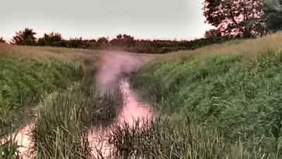 5a259f9de1867_WP_20170601_20_49_54_Pro1_easyHDR-BASIC-2_resized.thumb.jpg.30345915e8d2d8de761e1ff4d364d579.jpg