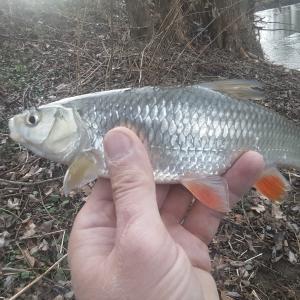 20180217_150320.thumb.jpg.08a29fb298f8b015dd0fe6c39f7d2b05.jpg