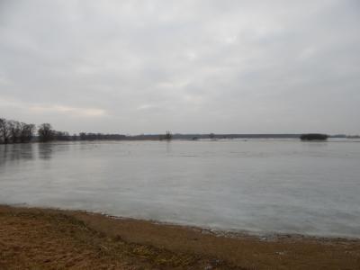 DSCN1954.thumb.JPG.35c2c853c5e12b4e9a727363f3b575d6.JPG
