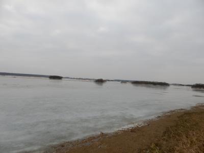 DSCN1955.thumb.JPG.8a8c5853379782d661c6381321311626.JPG
