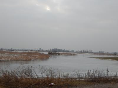 DSCN1977.thumb.JPG.9ade9faca643d7410065e1de9126ac9f.JPG