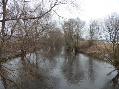 DSCN1985.thumb.JPG.74b72d1d44906b8db046152e308de81a.JPG
