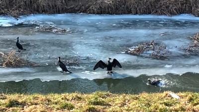 WP_20180304_14_53_39_Pro_easyHDR-BASIC-2_resized.thumb.jpg.c11cfa0450d12e282487bb67ce95c6cc.jpg
