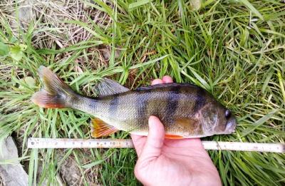 IMG_20180424_151408.jpg