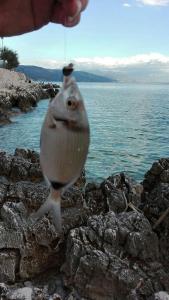 IMG-20180626-WA0002_resized (1).jpg