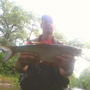 20180708_065651.thumb.jpg.4ed2ab4a0772653e78f6425138c2434f.jpg