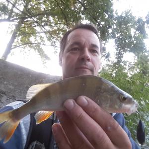 20180722_054526.thumb.jpg.156b85a1616bef14c939340440628b69.jpg