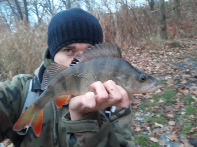 20181201_153012.thumb.jpg.96d7c5cc63debcc8b104160e958c6da3.jpg