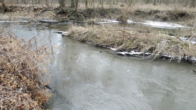 IMG_20190202_085327.jpg