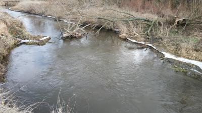 IMG_20190202_105228.jpg