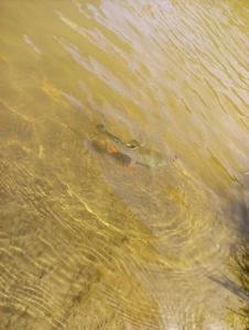 IMG_20190426_141927_18CS.jpg