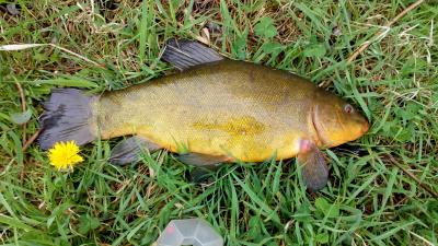 IMG_20190428_103347.jpg