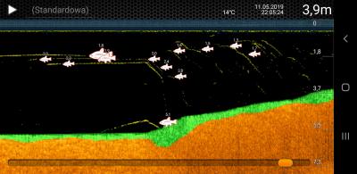Screenshot_20190512-103553_Deeper.jpg