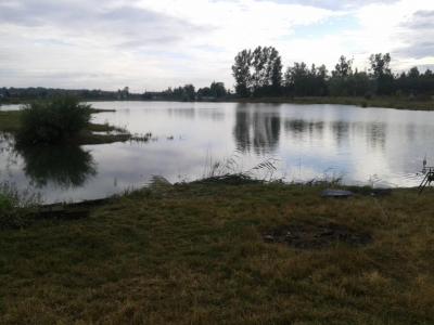 20190711_072222.jpg