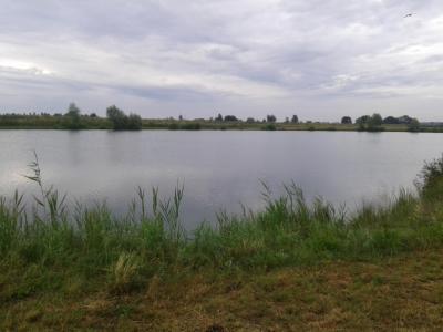 20190711_072231.jpg