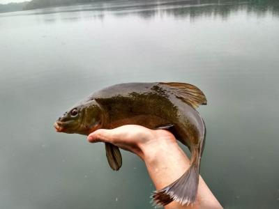3.thumb.jpg.f839ae1661504763a972e9365545859a.jpg