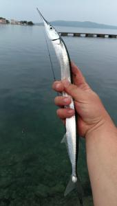 IMG_20190830_080255.jpg