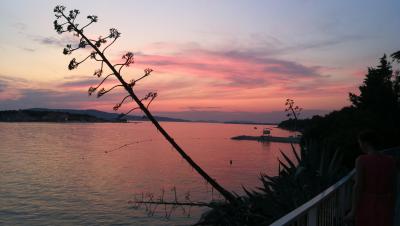 IMG_20190901_194051.jpg
