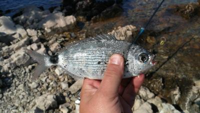 IMG_20190905_104606.jpg