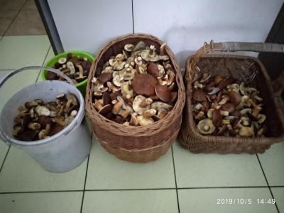 IMG_20191005_144939.jpg