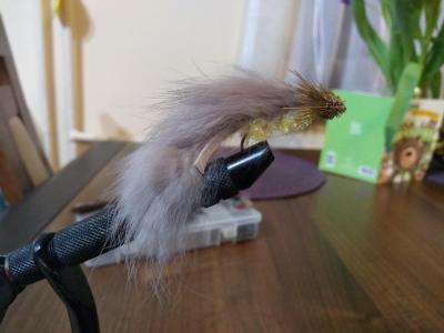 IMG_20200131_231915646.thumb.jpg.57bbeb2ad1a41ea6f78b311d46961e86.jpg