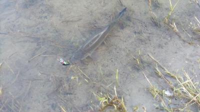 IMG_20200316_171009.jpg