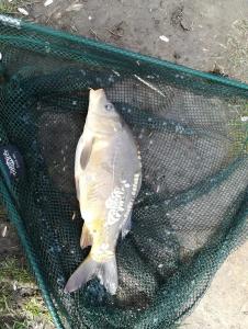 IMG_20200317_111520.jpg