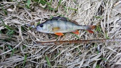 IMG_20200320_153526.jpg