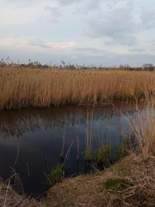 IMG_20200424_190502.jpg
