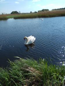 IMG_20200508_144628.jpg